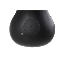 Ovation Celebrity Elite CE 44C-4A