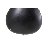 Ovation Celebrity Elite Plus CE 44P-SM