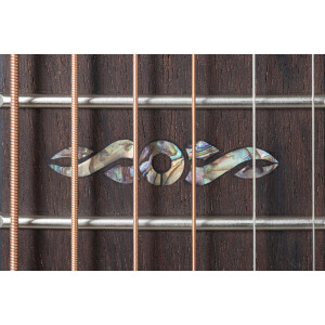 Ovation Celebrity Elite Plus CE 44P BLFL