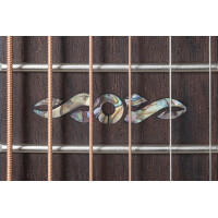 Ovation Celebrity Elite Plus CE 44P BLFL