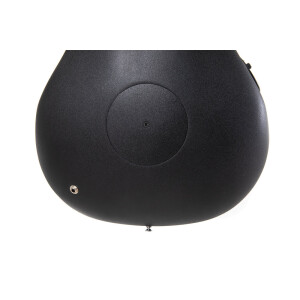 Ovation Celebrity Elite Plus CE 48P TGE