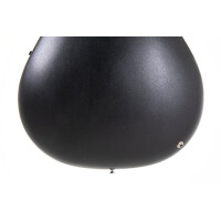 Ovation Celebrity Traditional CS 24L-4