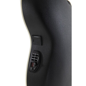 Ovation Celebrity Traditional CS 24L-5G