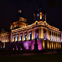 Cameo Flat Pro Flood Ip65 Tri