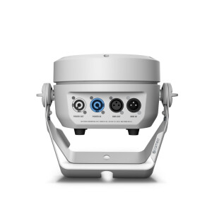 Cameo Root® PAR 4 WH