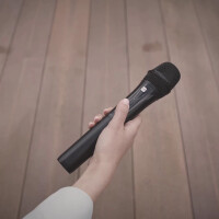 LD Systems ANNY 10 HHD 2 B8