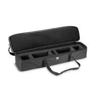 LD Systems CURV 500 TS SAT BAG