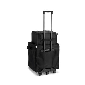 LD Systems DAVE 10 G4X BAG SET