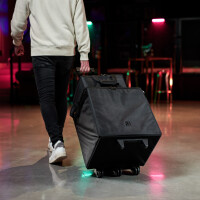 LD Systems DAVE 10 G4X BAG SET