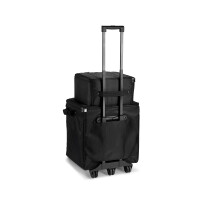 LD Systems DAVE 10 G4X BAG SET