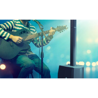 LD Systems MAUI 11 G2 W