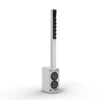 LD Systems MAUI 11 G3 W