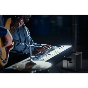 LD Systems MAUI 28 G2 W