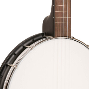 Gold Tone AC-1FL