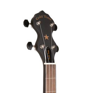 Gold Tone AC-1FL