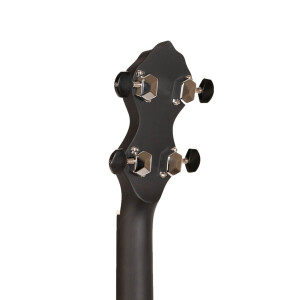 Gold Tone AC-1FL