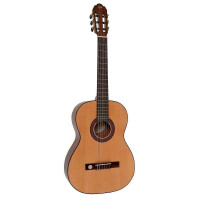 Gewa Pro Arte GC 100 A 7/8