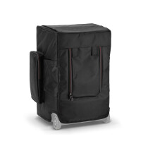 LD Systems ANNY 10 COV-Bundle