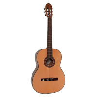 Gewa Pro Arte GC 210 A