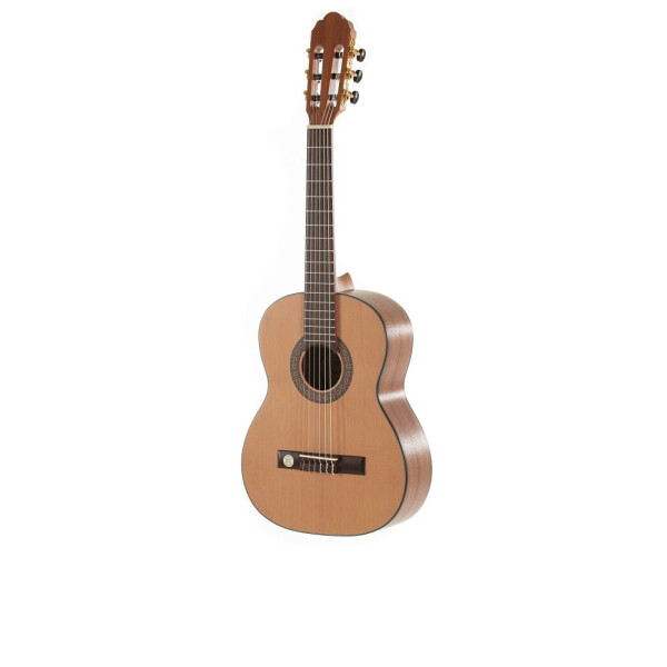 Gewa Pro Arte Maestro CM-50LH 1/2