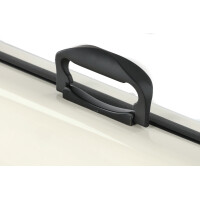 Gewa violin case Air 2.1