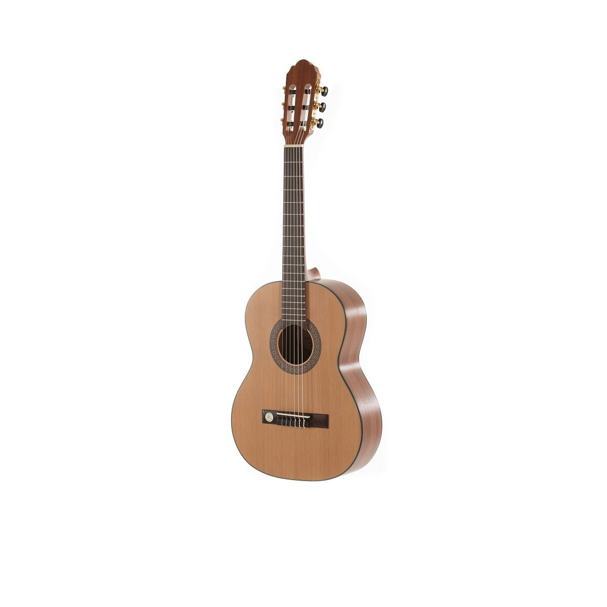 Gewa Pro Arte Maestro CM-75LH 3/4 box