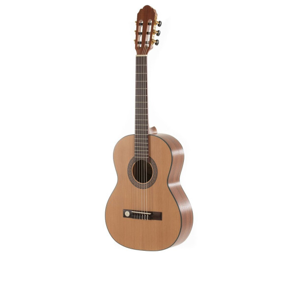 Gewa Pro Arte Maestro CM-75LH 3/4