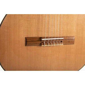 Gewa Pro Andalus 25AZ