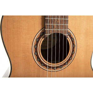 Gewa Pro Andalus 25AZ