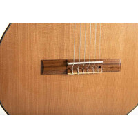 Gewa Pro Andalus 25AZ