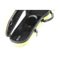 Gewa Violinformetui BIO A