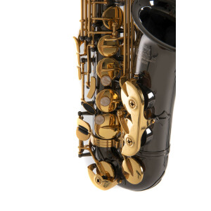 Roy Benson Eb-Alt Saxophon AS-202K  B-Ware