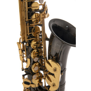 Roy Benson Eb-Alt Saxophon AS-202K  B-Ware