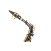 Roy Benson Eb-Alt Saxophon AS-202K  B-Ware