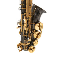 Roy Benson Eb-Alt Saxophon AS-202K  B-Ware