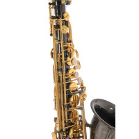 Roy Benson Eb-Alt Saxophon AS-202K  B-Ware