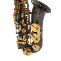 Roy Benson Eb-Alt Saxophon AS-202K  B-Ware