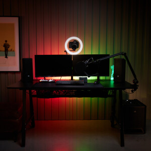 LD Systems DAVE 10 G4X