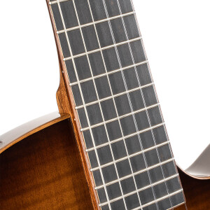 Cort Sunset Nylectric DLX