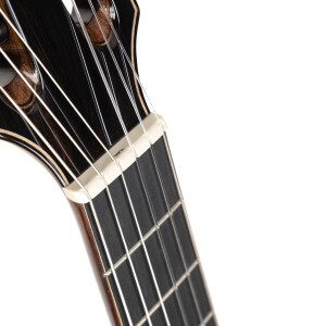 Cort Sunset Nylectric DLX