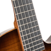 Cort Sunset Nylectric DLX