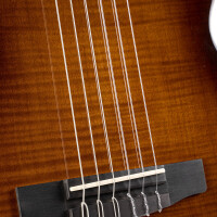 Cort Sunset Nylectric DLX