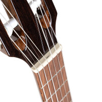 CORT Sunset Nylectric II