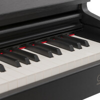 GEWA Digital Piano DP510