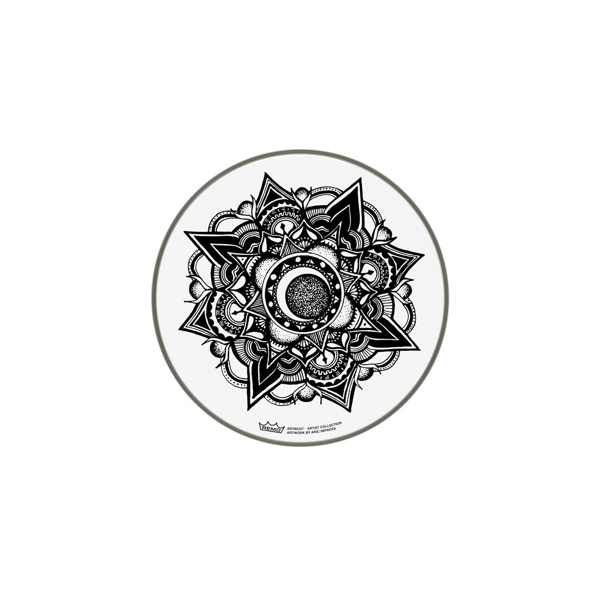 Remo 13" A. Improta Nocturnal Bloom box