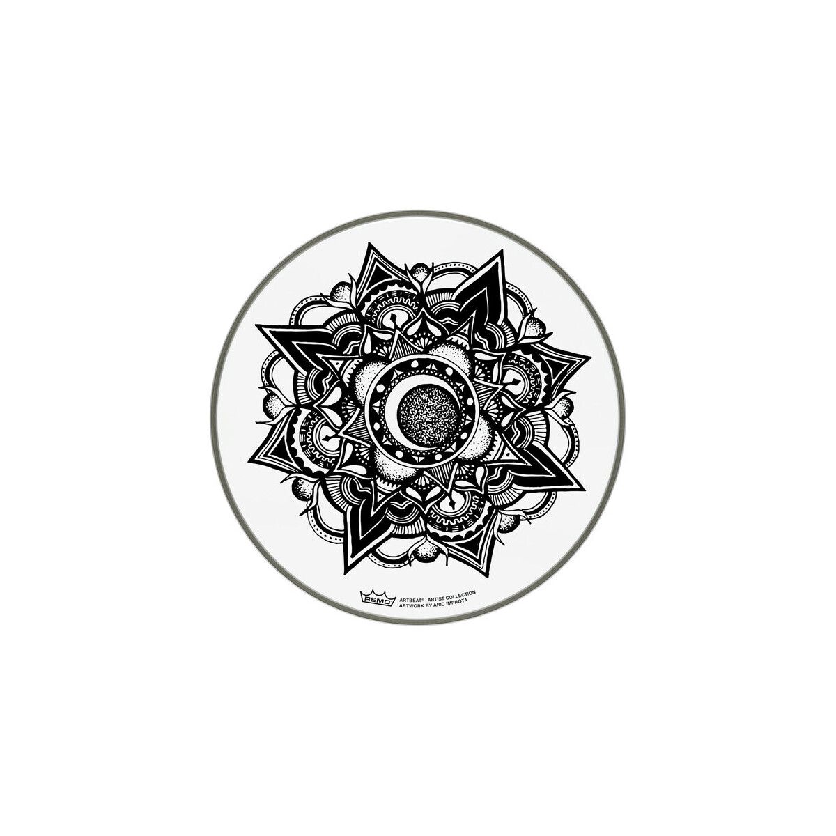 Remo 14" A. Improta Nocturnal Bloom box