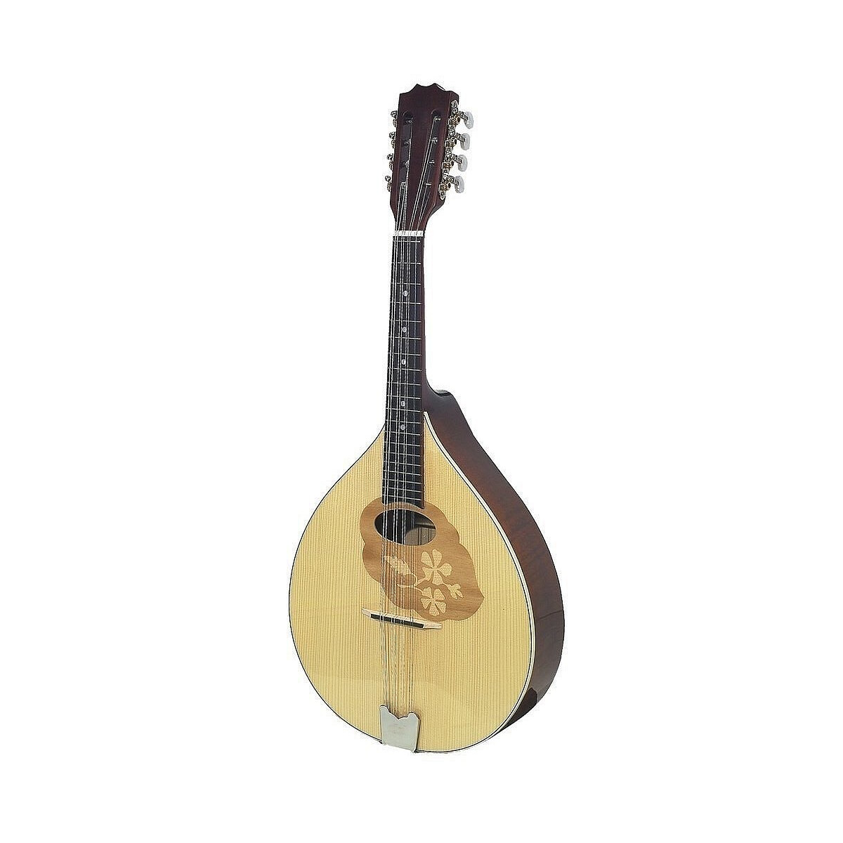 Gewa Mandola Pro Arte Hochglanz