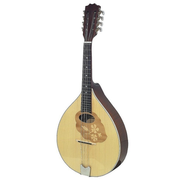 Gewa Mandola Pro Arte high gloss