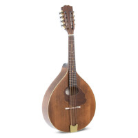 Gewa Mandola Pro Arte Antique