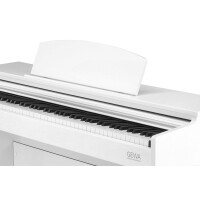 GEWA DP 510 W